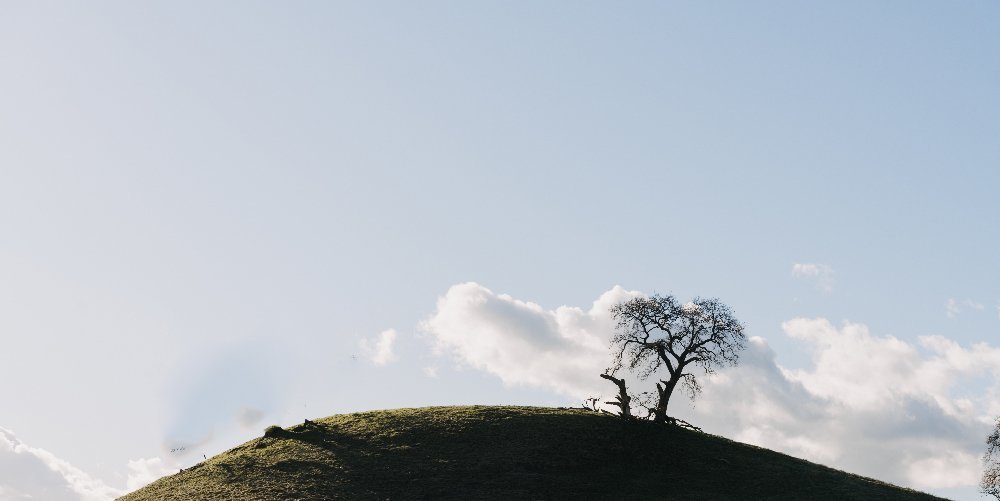 A Step-by-Step Guide to Going Green