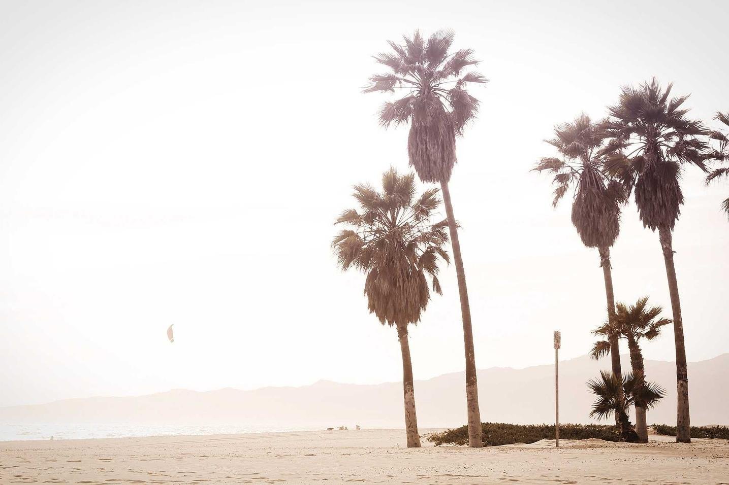 Aut sit ipsa nulla quos