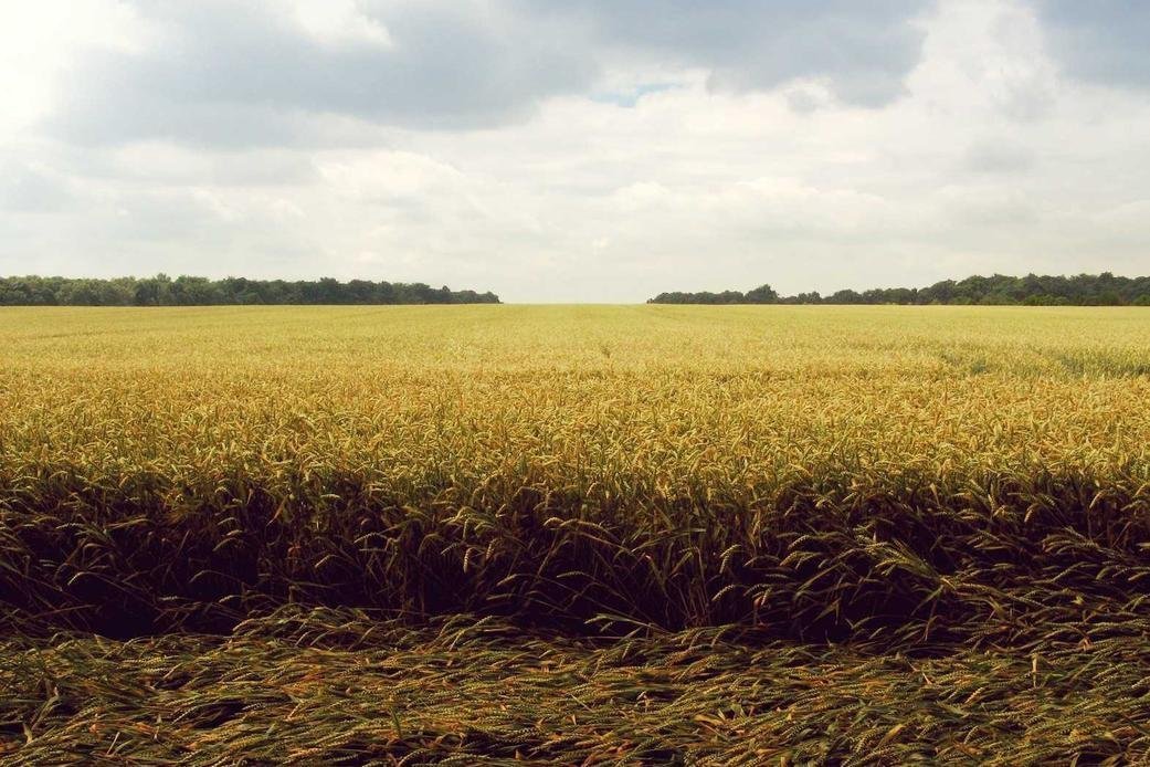 Quam nihil aperiam doloremque et omnis